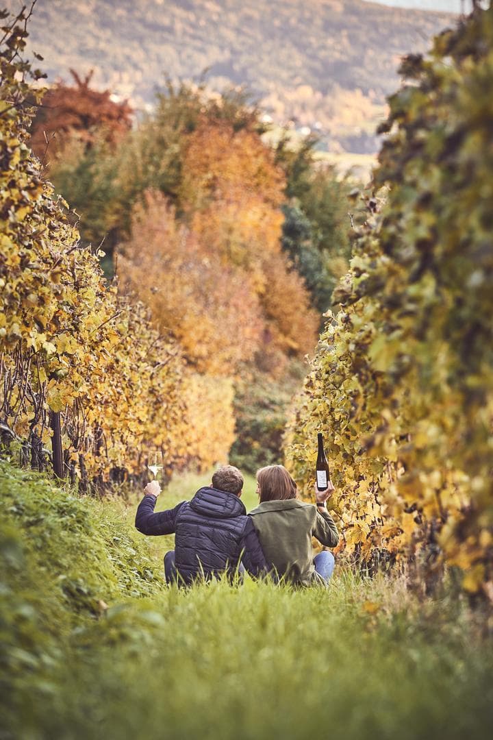 FOLIAGE | 3 Tage Genuss mit Ausblick
