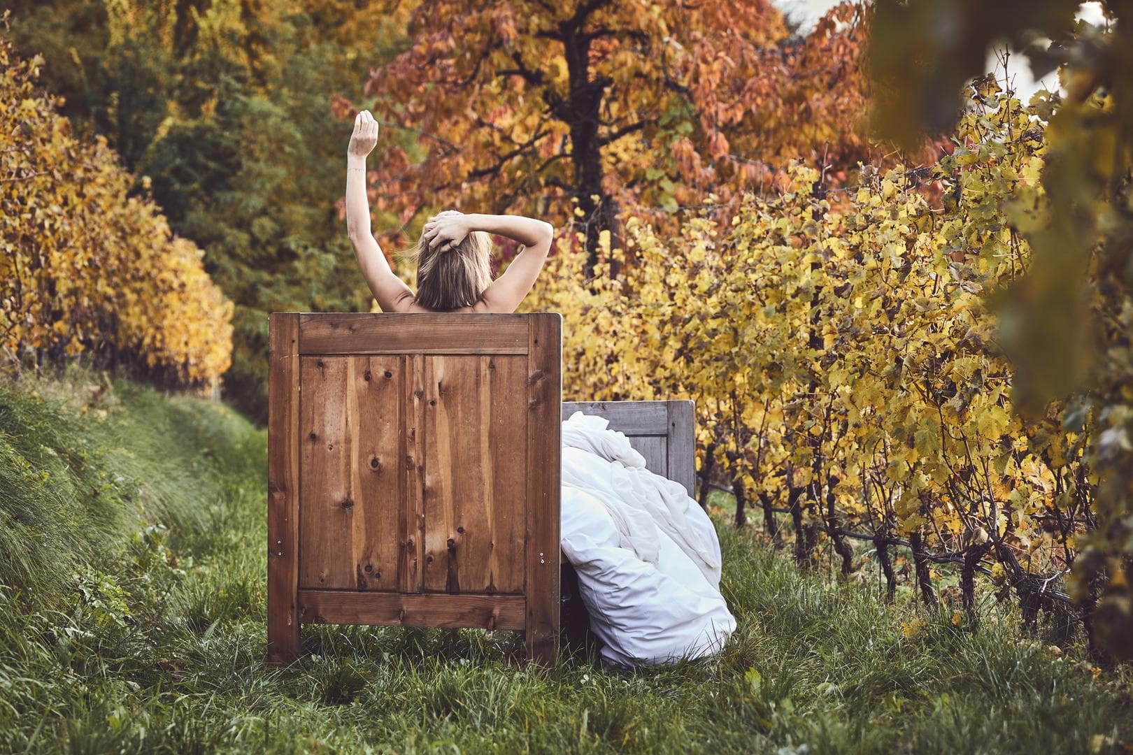 Sleep in the vineyard